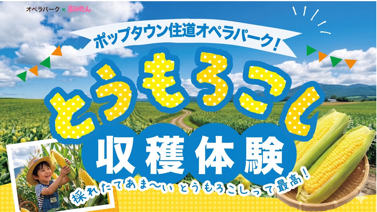 8月8日(土)開催!ポップタウン住道 とうもろこし収穫体験