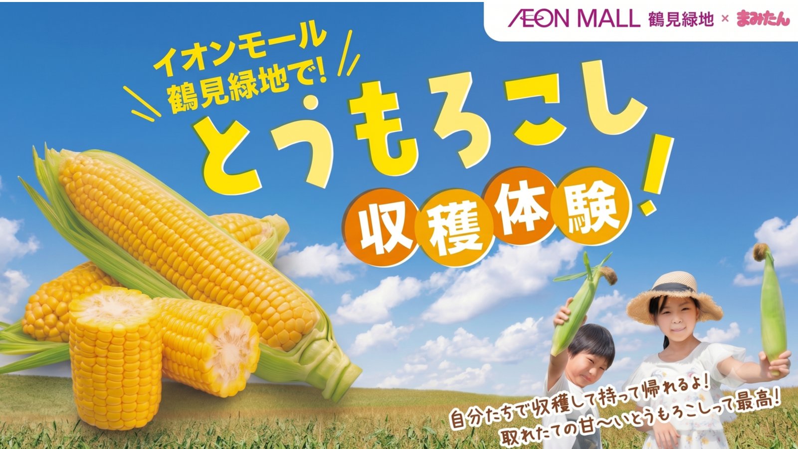 8月9日(日)開催！イオンモール鶴見緑地 とうもろこし収穫体験