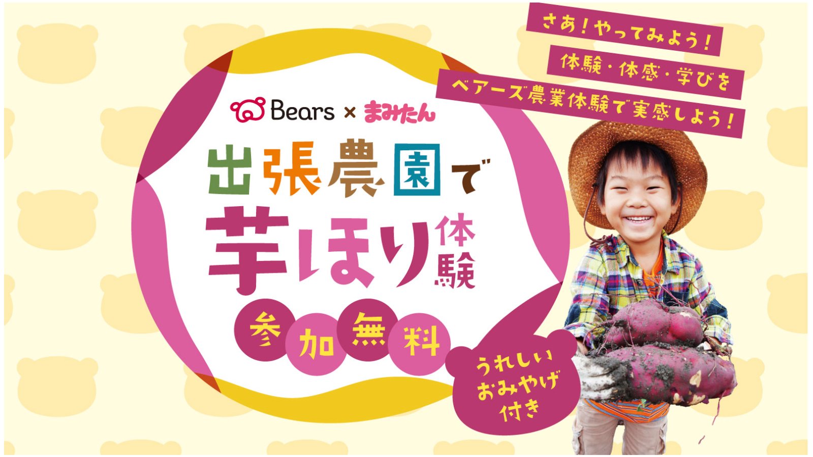 Bears×まみたん　参加無料！出張農園で芋ほり体験２００名大募集！